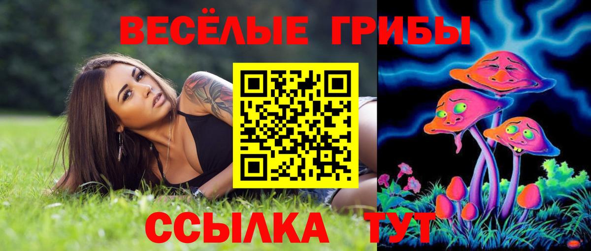 Псилоцибиновые грибы GOLDEN TEACHER  Псилоцибиновые грибы мицелий  Зеленогорск  Вход с VPN 
